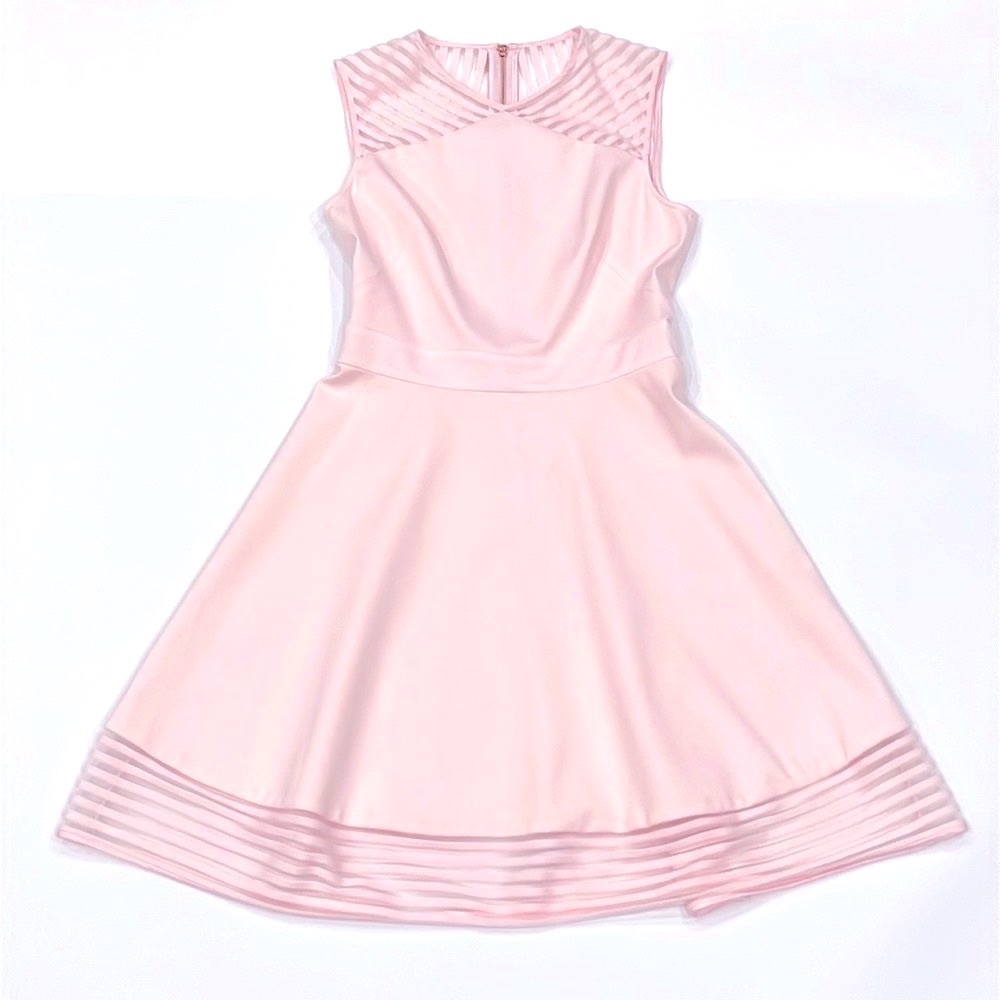 Ted Baker Eleese Mesh Detail Skater Baby Pink Dress